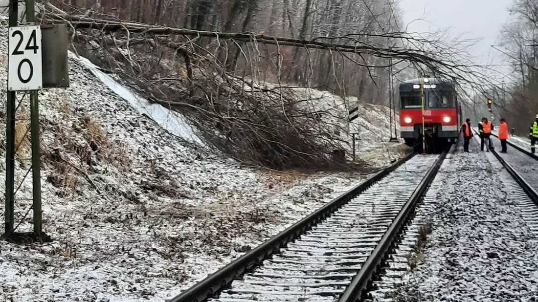 Bundespolizeidirektion München: Bahnbetriebsunfall / Baum fällt in Oberleitung - Bild: presseportal.de