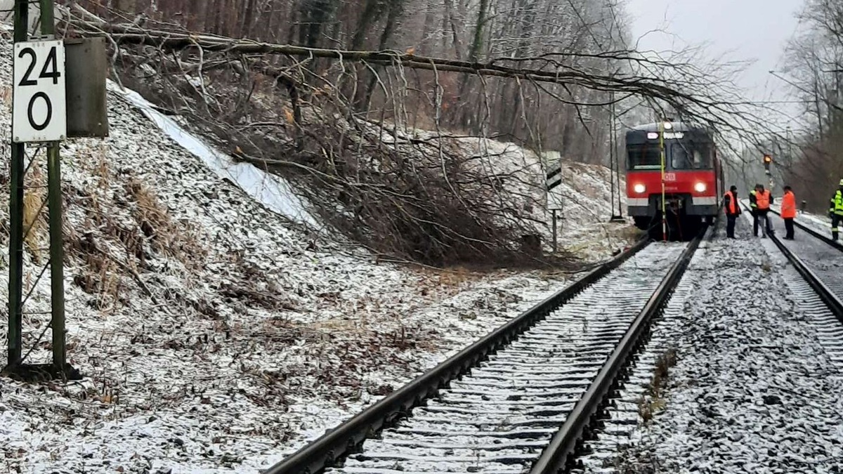 Bundespolizeidirektion München: Bahnbetriebsunfall / Baum fällt in Oberleitung - Foto: presseportal.de