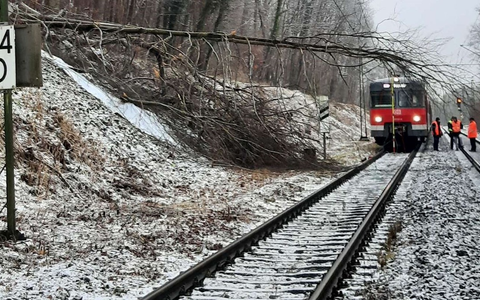 Bundespolizeidirektion München: Bahnbetriebsunfall / Baum fällt in Oberleitung - Foto: presseportal.de