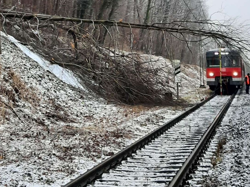 Bundespolizeidirektion München: Bahnbetriebsunfall / Baum fällt in Oberleitung - Foto: presseportal.de