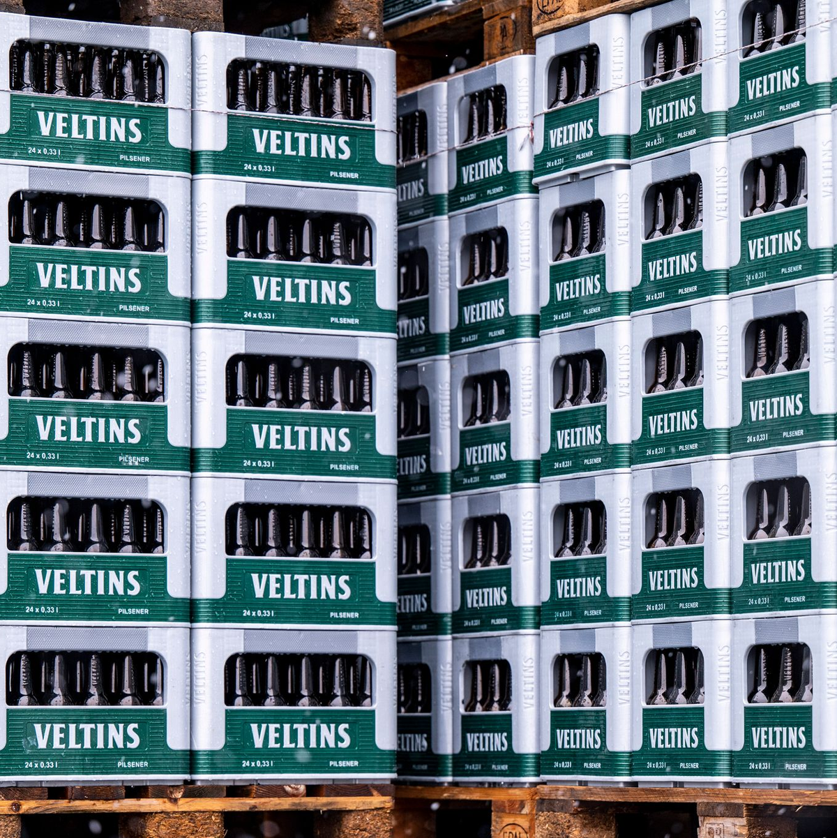 Die Großbrauerei Veltins steigert ihren Absatz entgegen dem schrumpfenden Branchentrend. (Archivbild) - Foto: David Inderlied/dpa