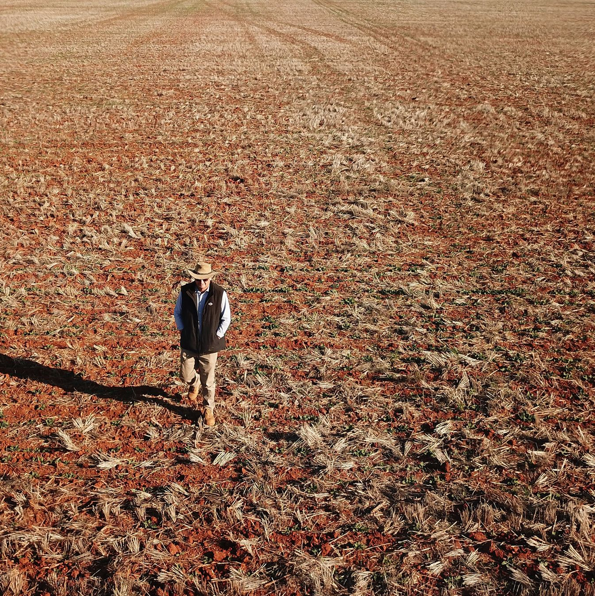 Ein Getreidebauer geht während einer Dürreperiode in Australien 2018 über sein vertrocknetes Rapsfeld. (Archivbild) - Foto: Dean Lewins/AAP/dpa