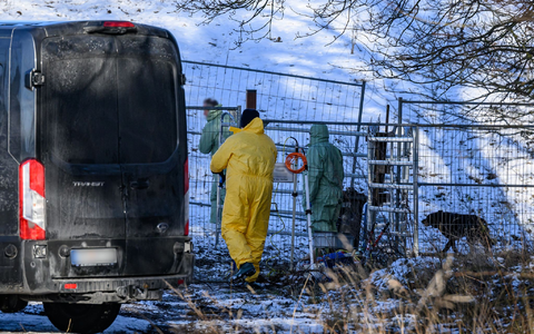 Das Virus kann monate- oder gar jahrelang infektiös bleiben, auch wenn es im Erdboden ist oder eingetrocknet. - Foto: Patrick Pleul/dpa Das Virus kann monate- oder gar jahrelang infektiös bleiben, auch wenn es im Erdboden ist oder eingetrocknet. - Foto: Patrick Pleul/dpa