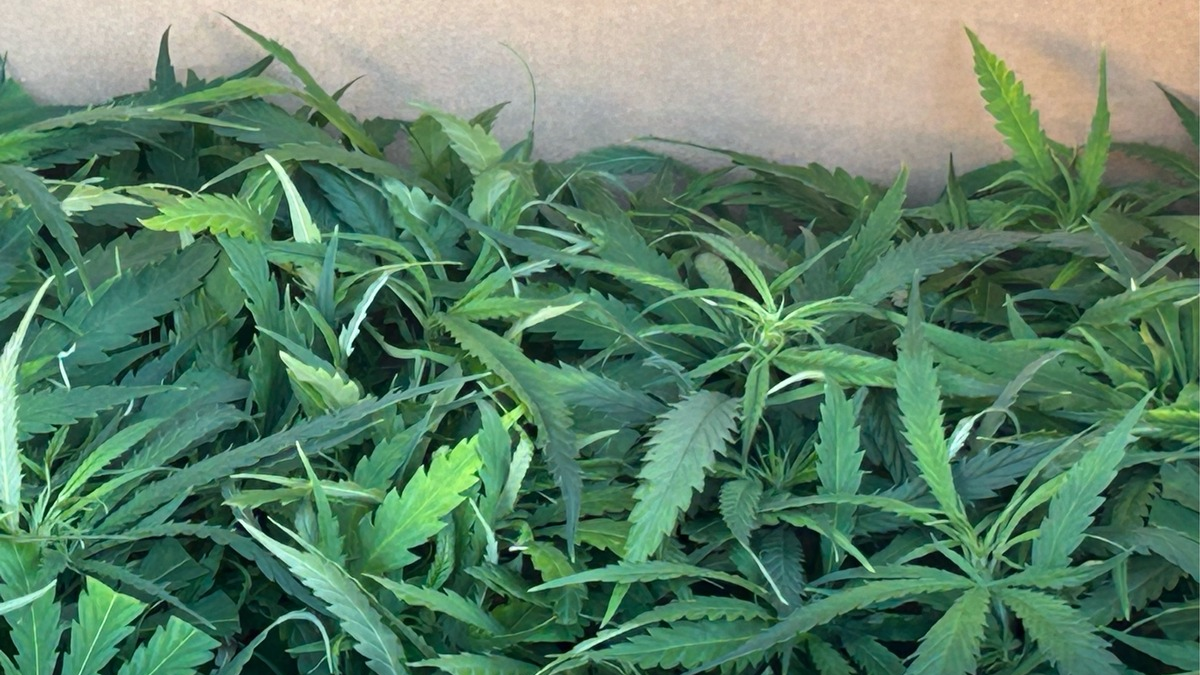 HZA-AC: Verfolgungsfahrt im Selfkant: Autofahrerin will sich Zollkontrolle entziehen - Foto: presseportal.de