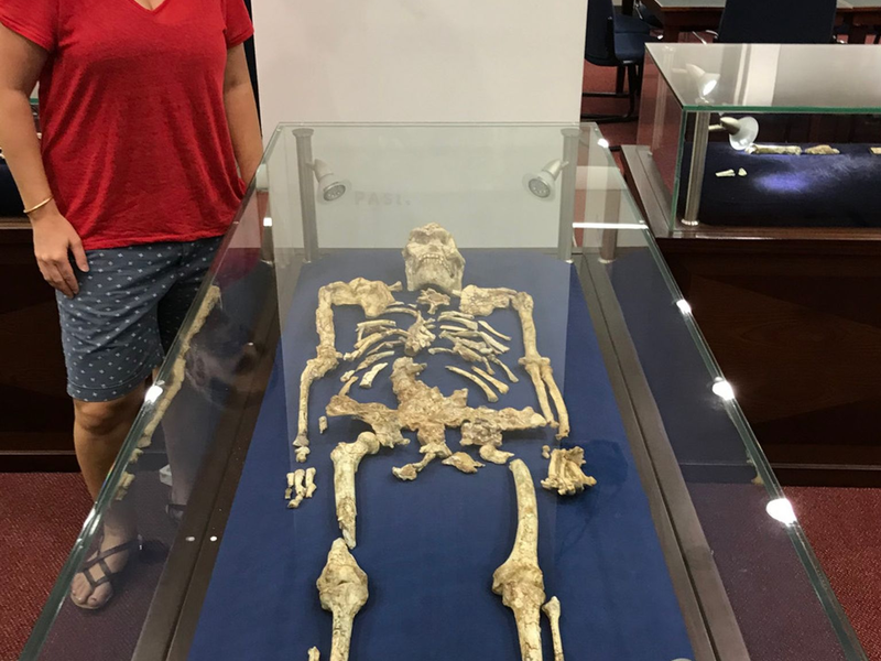 Geochemikerin Tina Lüdecke steht neben Little Foot“, einem bemerkenswert gut erhaltenen Skelett des Australopithecus. - Foto: Bernhard Zipfel/University of the Witwatersrand/dpa