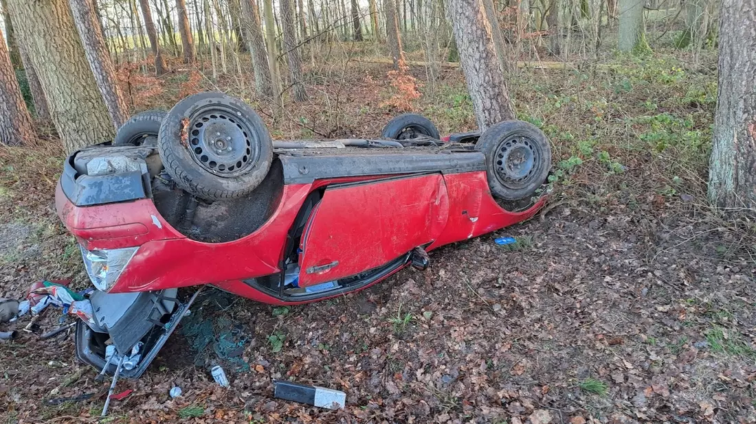 POL-ROW: ++ Schwäne in Bremervörde behindern den Verkehr ++ Pkw brennt in Sottrum aus ++ Bei Glätte von der Straße abgekommen: Auto überschlägt sich ++ Mit 1,6 Promille am Steuer ++ - Bild: presseportal.de