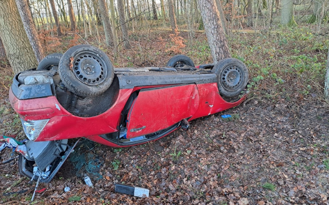 POL-ROW: ++ Schwäne in Bremervörde behindern den Verkehr ++ Pkw brennt in Sottrum aus ++ Bei Glätte von der Straße abgekommen: Auto überschlägt sich ++ Mit 1,6 Promille am Steuer ++ - Foto: presseportal.de POL-ROW: ++ Schwäne in Bremervörde behindern den Verkehr ++ Pkw brennt in Sottrum aus ++ Bei Glätte von der Straße abgekommen: Auto überschlägt sich ++ Mit 1,6 Promille am Steuer ++ - Foto: presseportal.de