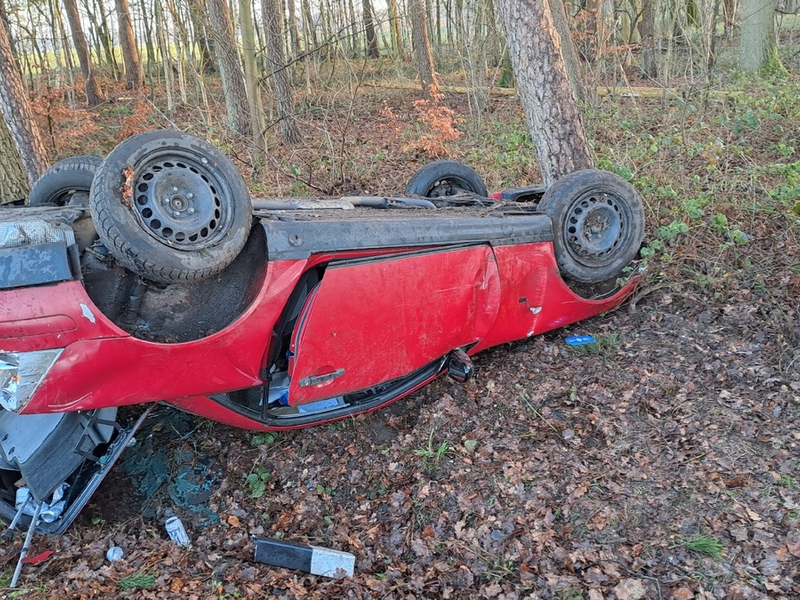 POL-ROW: ++ Schwäne in Bremervörde behindern den Verkehr ++ Pkw brennt in Sottrum aus ++ Bei Glätte von der Straße abgekommen: Auto überschlägt sich ++ Mit 1,6 Promille am Steuer ++ - Foto: presseportal.de