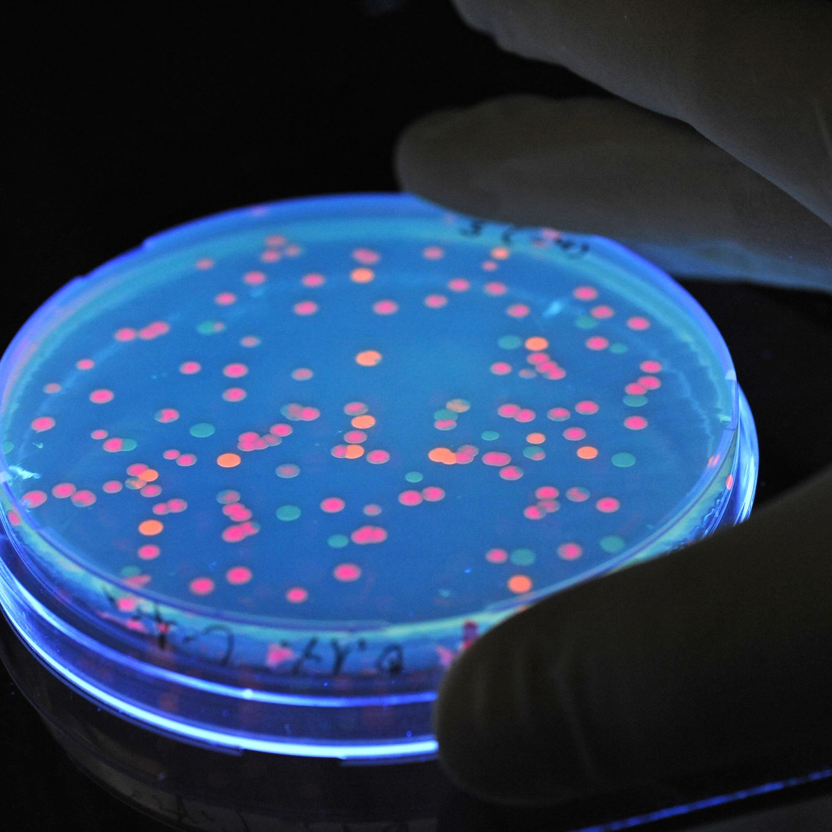 Verschiedene Bevölkerungsgruppen haben ein unterschiedlich hohes Vertrauen in Forscher. (Archivbild) - Foto: picture alliance / dpa