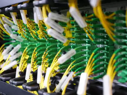 Der internationale Internetverkehr ist im vergangenen Jahr deutlich angestiegen - Foto: Jan Woitas/dpa
