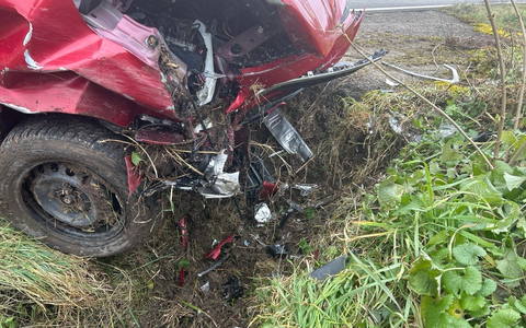 POL-PDLD: Billigheim - Ingenheim - Zu schnell in die Kurve - Foto: presseportal.de