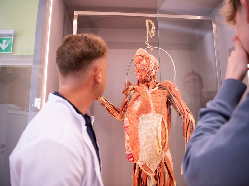 Samstag, 15. März 2025: Tag der offenen Tür an der Danube Private University (DPU) - Einblicke in das Zahn-/ und Humanmedizinstudium - Foto: presseportal.de