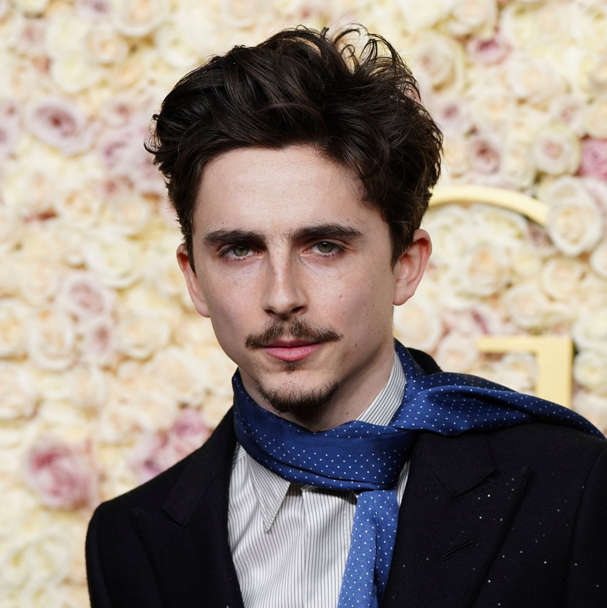 Timothée Chalamet ist mit der Unternehmerin Kylie Jenner zusammen (Archivbild). - Foto: Jordan Strauss/Invision/AP/dpa