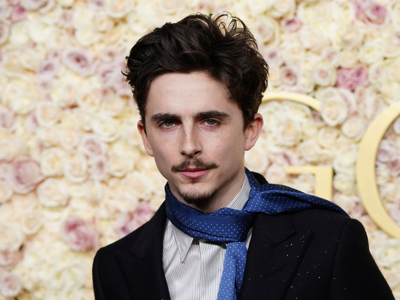 Timothée Chalamet ist mit der Unternehmerin Kylie Jenner zusammen (Archivbild). - Foto: Jordan Strauss/Invision/AP/dpa