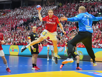 Bejubelten 40 Tore: Dänemark. - Foto: Sören Stache/dpa