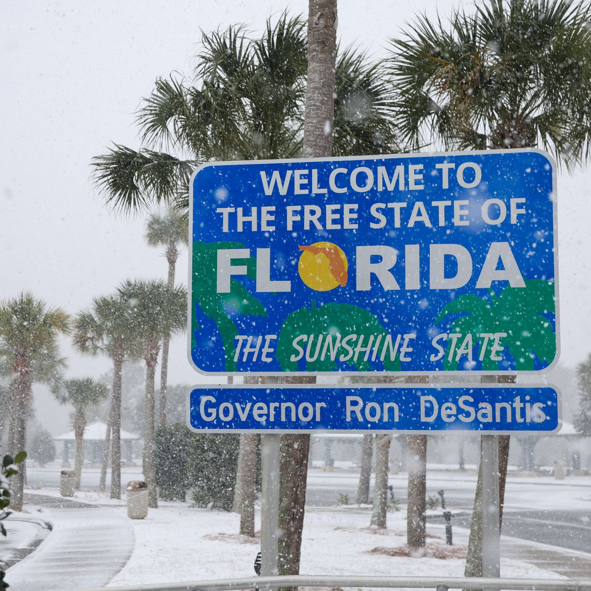 Schnee hatten die Einwohner Floridas dort lange nicht gesehen. - Foto: Luis Santana/Tampa Bay Times/ZUMA Press Wire/dpa