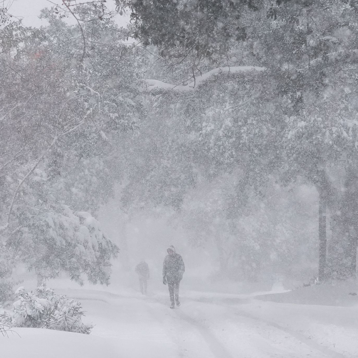 In New Orleans fielen mehr als 20 Zentimeter Schnee. - Foto: Gerald Herbert/AP/dpa