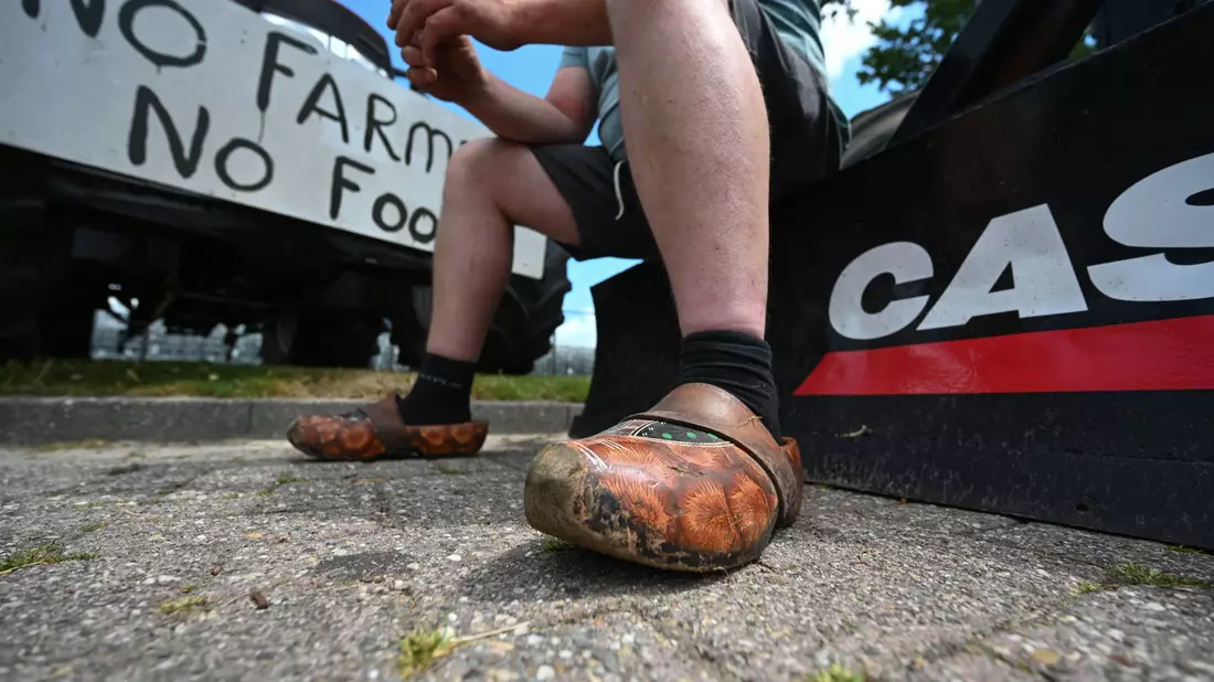 Mehrfach hatten Landwirte in den vergangenen Jahren massiv gegen die Umweltauflagen protestiert. (Archivbild) - Bild: Lars Klemmer/dpa
