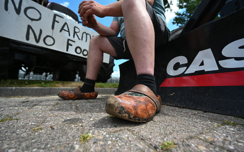 Mehrfach hatten Landwirte in den vergangenen Jahren massiv gegen die Umweltauflagen protestiert. (Archivbild) - Foto: Lars Klemmer/dpa