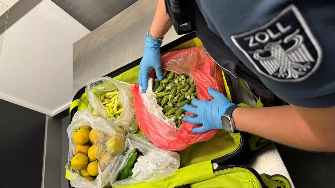 HZA-S: Gepäck voller Obst / Stuttgarter Zoll stoppt Reisende aus Kenia - Bild: presseportal.de