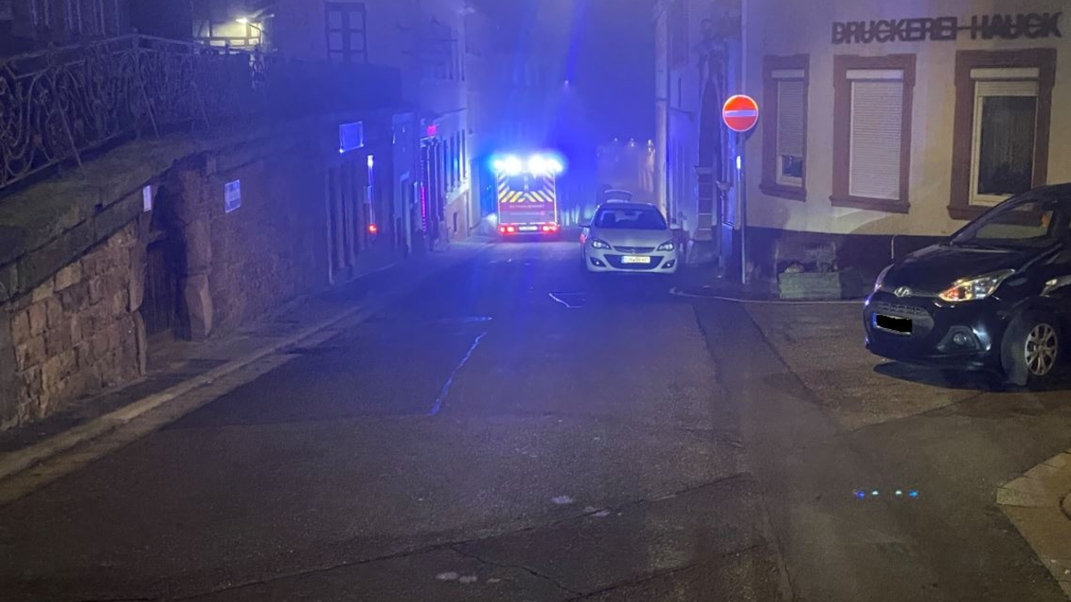 POL-PDLD: Edenkoben - Entgegen der Einbahnstraße - Foto: presseportal.de