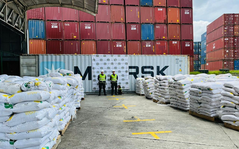 Kolumbianische Sicherheitskräfte haben eine der größten Mengen Kokain in der Geschichte des südamerikanischen Landes sichergestellt. - Foto: ---/colprensa/dpa