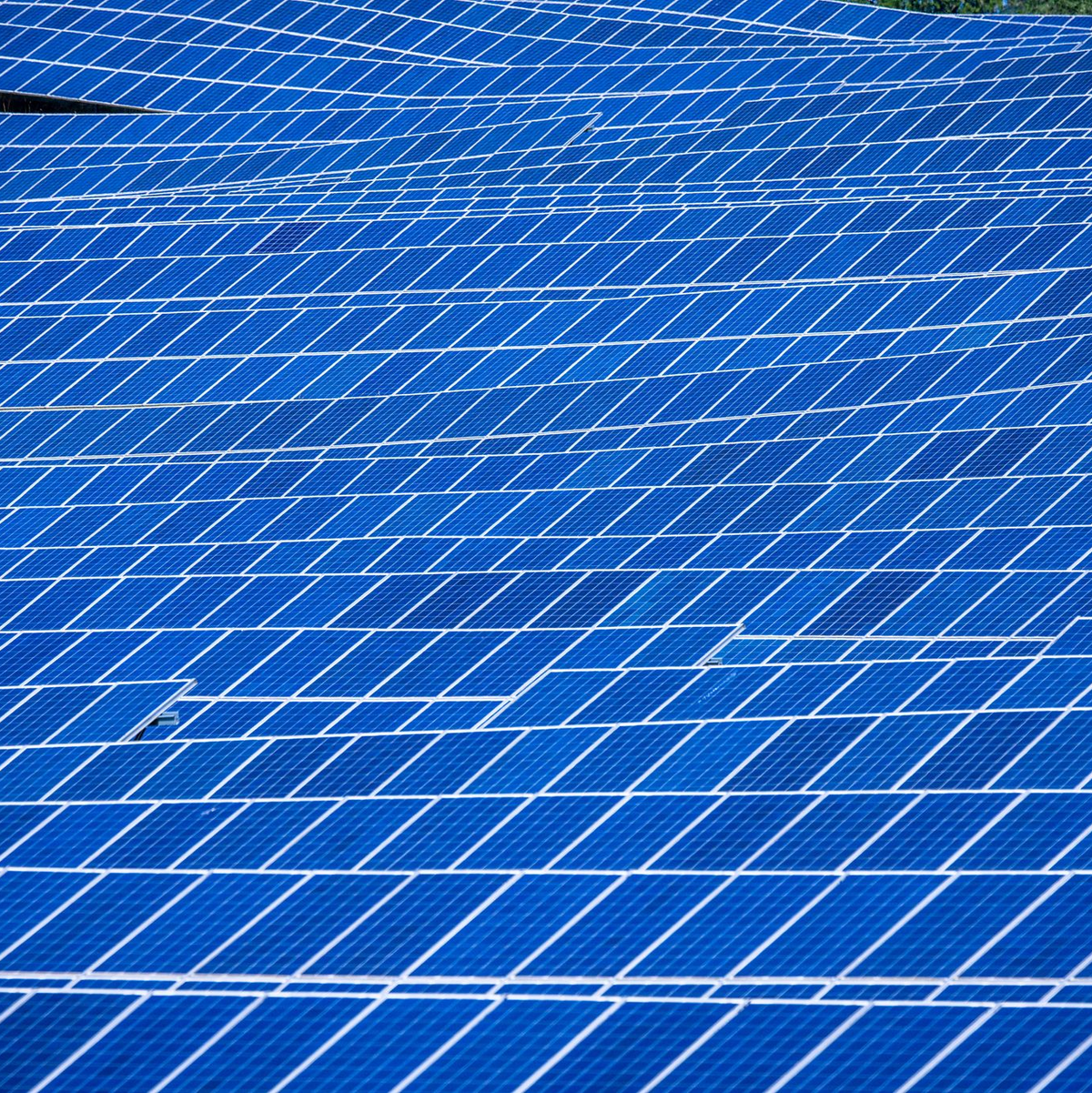 Der Ember-Analyse zufolge kommt in der EU immer mehr Strom aus erneuerbaren Energien. - Foto: Jens Büttner/dpa