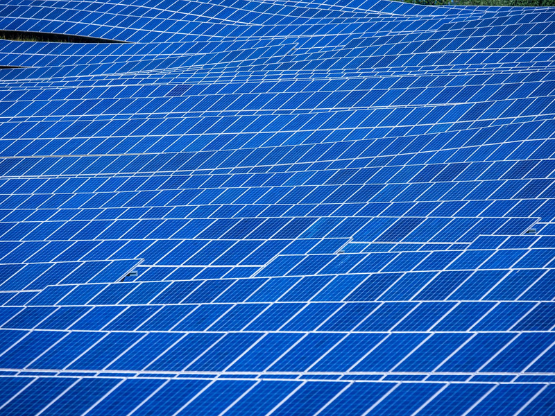 Der Ember-Analyse zufolge kommt in der EU immer mehr Strom aus erneuerbaren Energien. - Foto: Jens Büttner/dpa