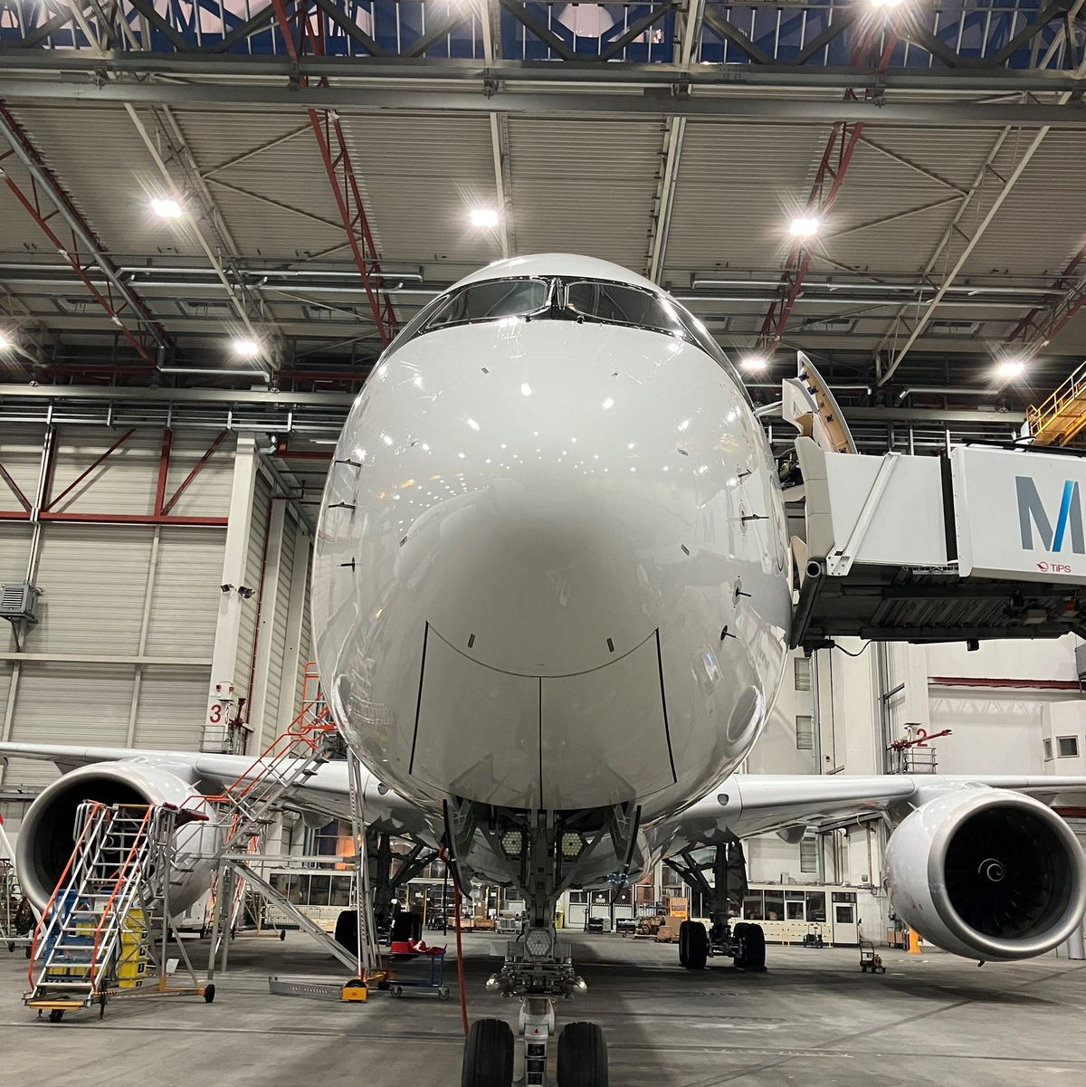 Die Nase eines auf den Namen 