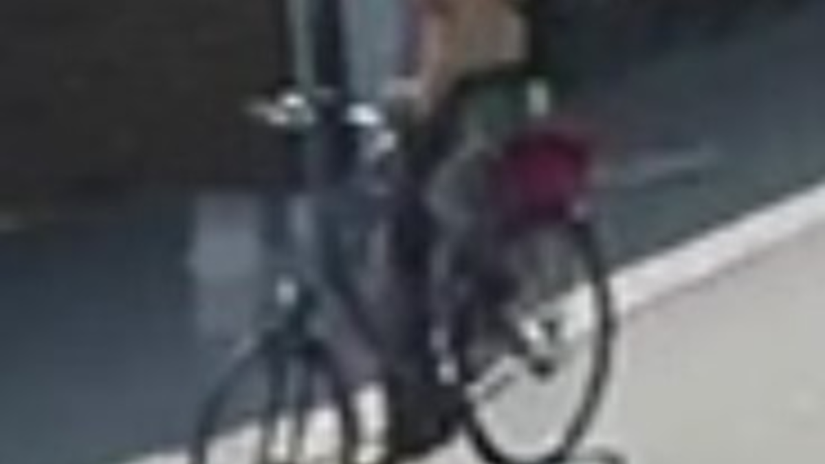 POL-LER: Pressemitteilung der Polizeiinspektion Leer/Emden für den 24.01.2025 - Foto: presseportal.de