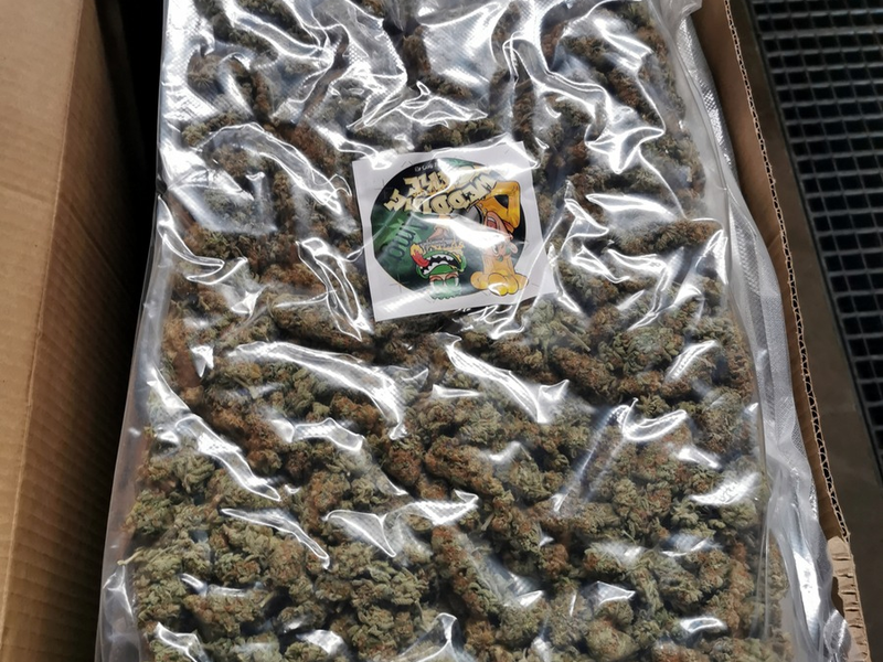 HZA-MD: 125 kg Marihuana versteckt zwischen Olivengläsern / Geruch lässt Rauschgiftschmuggel auf der A 9 auffliegen - Foto: presseportal.de