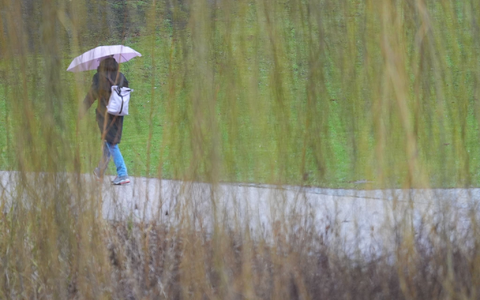Wechselhaft wird das Wetter am Sonntag, es regnet und zeitweise kommt die Sonne heraus. - Foto: Marcus Brandt/dpa