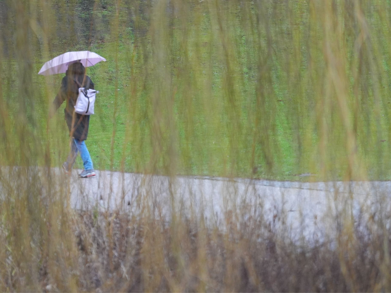 Wechselhaft wird das Wetter am Sonntag, es regnet und zeitweise kommt die Sonne heraus. - Foto: Marcus Brandt/dpa