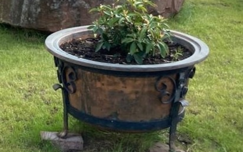 POL-PDPS: Blumenkübel aus Vorgarten entwendet - Foto: presseportal.de