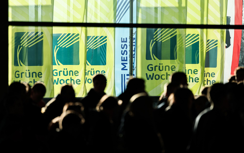 Die Veranstalter der Grünen Woche sehen die Messe dieses Jahr als Erfolg. (Archivbild) - Foto: Hannes P. Albert/dpa