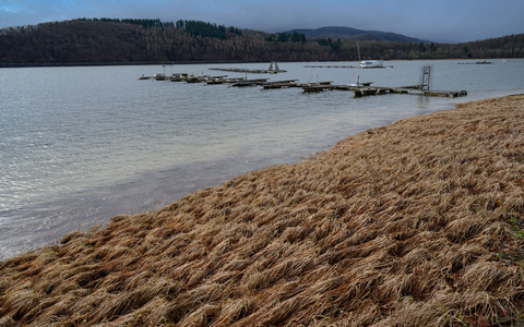 Bis zur Wochenmitte wird es vielerorts windig. - Foto: Swen Pförtner/dpa