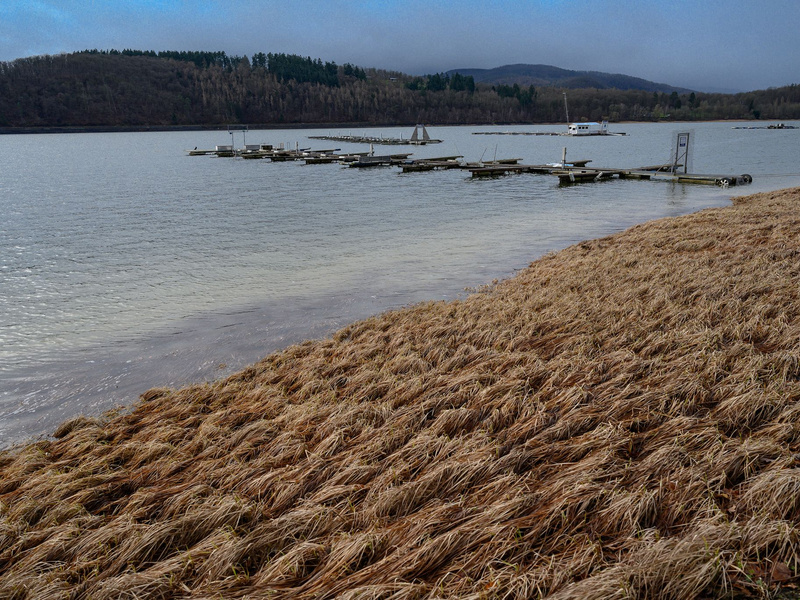 Bis zur Wochenmitte wird es vielerorts windig. - Foto: Swen Pförtner/dpa
