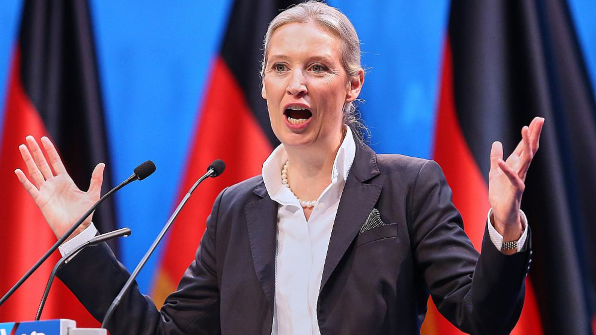 Alice Weidel (Archiv) - Foto: über dts Nachrichtenagentur