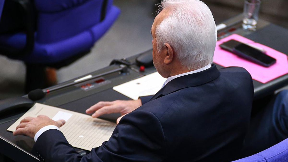 Wolfgang Kubicki (Archiv) - Foto: über dts Nachrichtenagentur