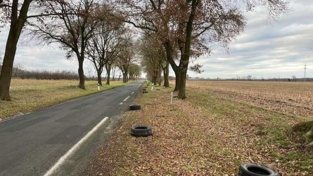 POL-EL: Breddenberg - Zeugen nach illegaler Entsorgung von Altreifen gesucht - Foto: presseportal.de