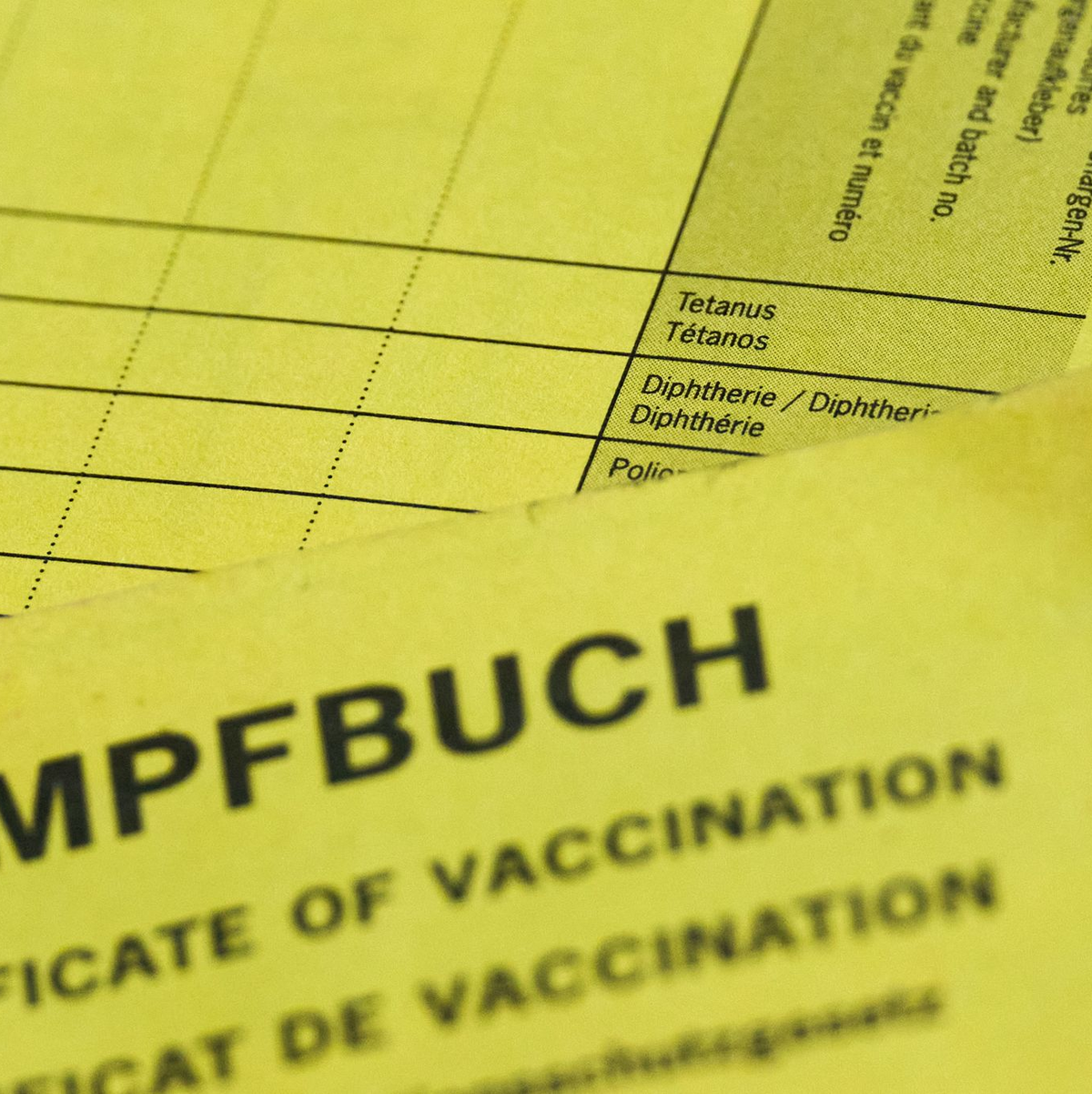 Weltweit sind erste Impfungen schon in den ersten Lebensmonaten empfohlen (Archivbild) - Foto: Annette Riedl/dpa