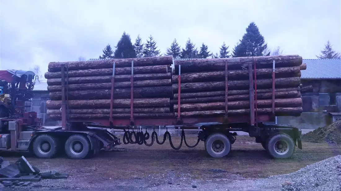 POL-PPTR: Zahlreiche Verstöße im Bereich der Lenk- und Ruhezeiten; Holztransport zu schwer und zu hoch - Bild: presseportal.de