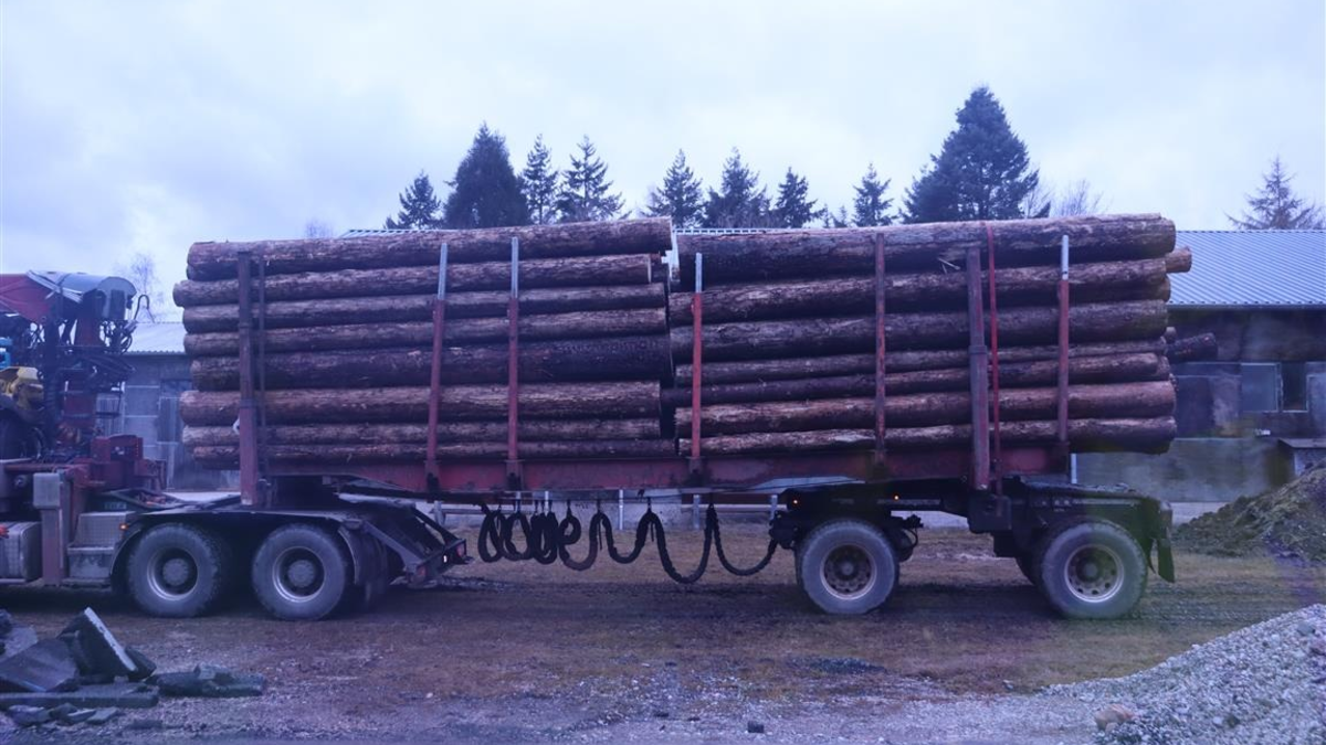 POL-PPTR: Zahlreiche Verstöße im Bereich der Lenk- und Ruhezeiten; Holztransport zu schwer und zu hoch - Foto: presseportal.de