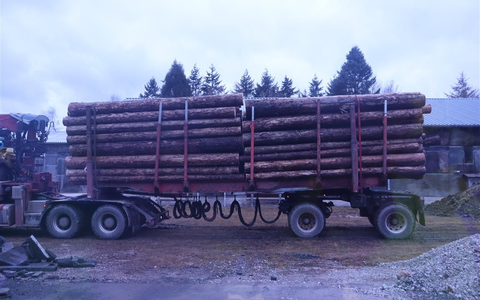 POL-PPTR: Zahlreiche Verstöße im Bereich der Lenk- und Ruhezeiten; Holztransport zu schwer und zu hoch - Foto: presseportal.de