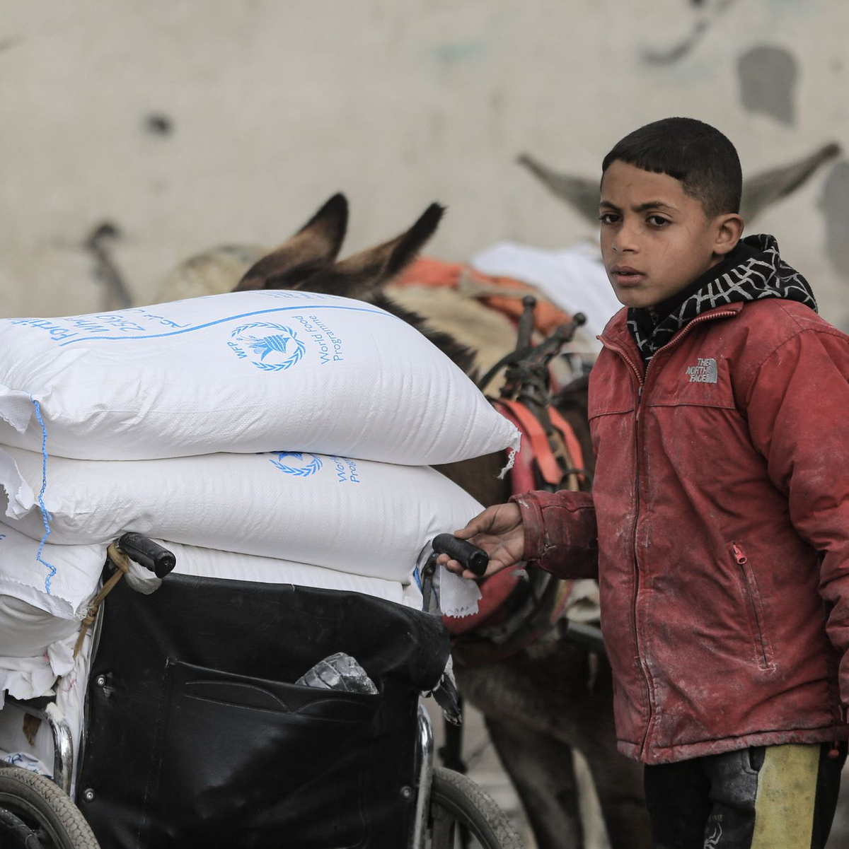 UNRWA betreibt zahlreiche Kliniken für palästinensische Flüchtlinge. (Archivbild) - Foto: Mohammed Talatene/dpa
