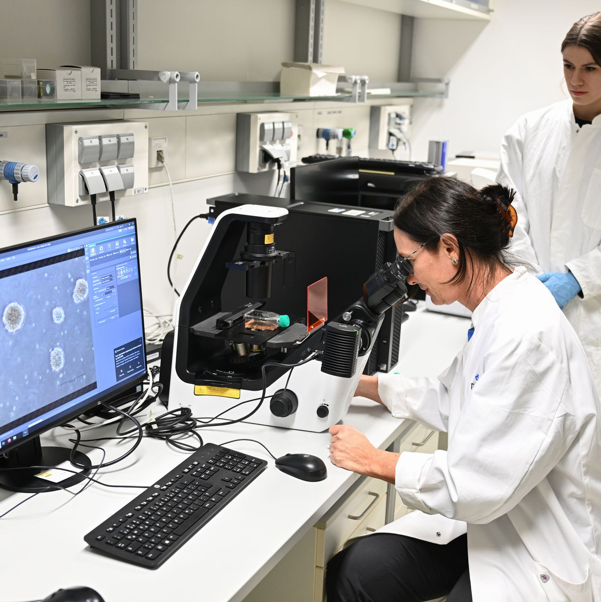 Eine Mitarbeiterin des Deutschen Krebsforschungszentrum bearbeitet in einem Labor unter dem Mikroskop eine Probe. - Foto: Bernd Weißbrod/dpa