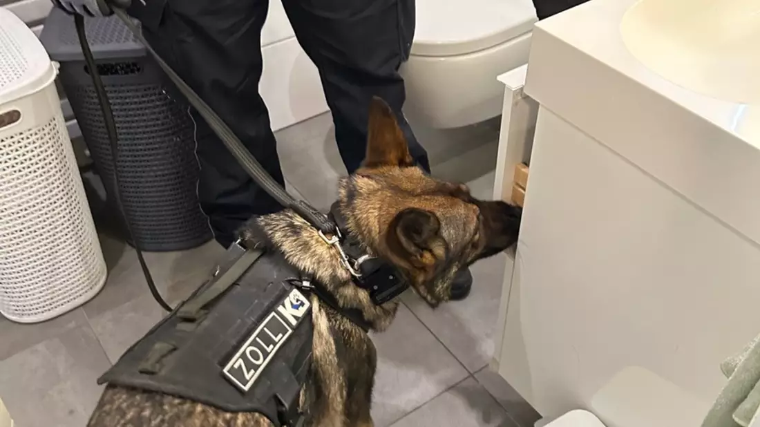 HZA-IZ: Zoll findet 21 lebende Blutegel in PET-Flaschen am Hamburger Flughafen / 21 ungarische Blutegel durch Zoll beschlagnahmt - Bild: presseportal.de