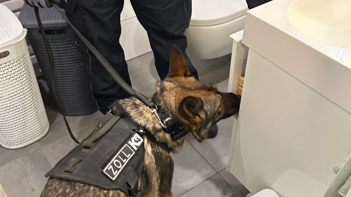 HZA-IZ: Zoll findet 21 lebende Blutegel in PET-Flaschen am Hamburger Flughafen / 21 ungarische Blutegel durch Zoll beschlagnahmt - Foto: presseportal.de