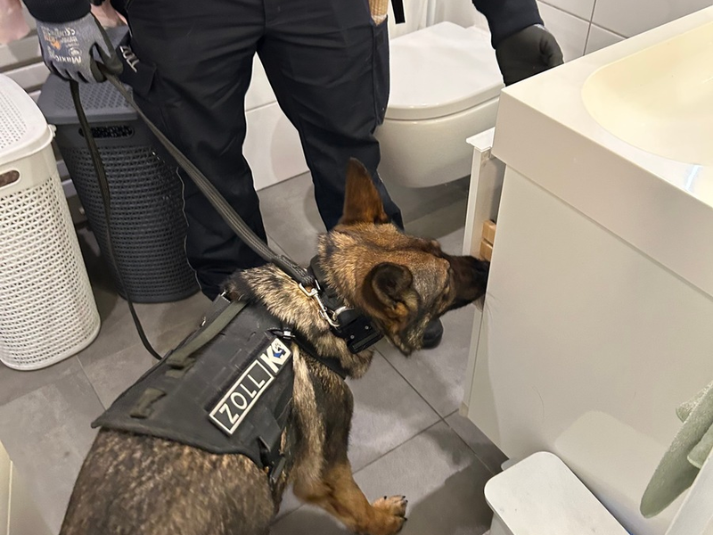 HZA-IZ: Zoll findet 21 lebende Blutegel in PET-Flaschen am Hamburger Flughafen / 21 ungarische Blutegel durch Zoll beschlagnahmt - Foto: presseportal.de