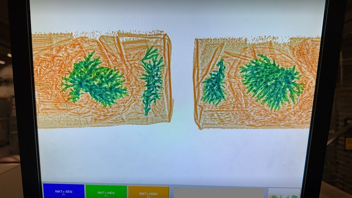 HZA-SB: Verbotener Paketinhalt/ ZOLL beschlagnahmt Steinkoralle - Foto: presseportal.de